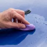 Clay Bar Purple (Medium)