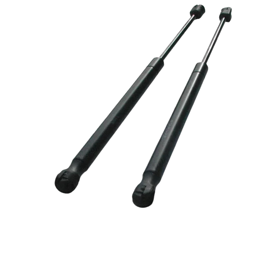 Carryboy Gas Lifters To Hard Lid